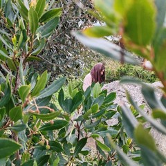 Termina la 15^ edizione della Via Crucis Vivente in cava