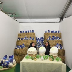 A San Ferdinando inaugurata la 65^ Fiera Nazionale del Carciofo