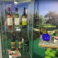 A San Ferdinando inaugurata la 65^ Fiera Nazionale del Carciofo