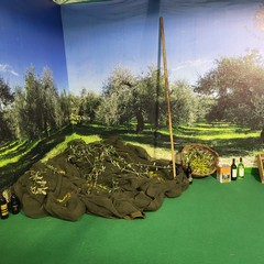 A San Ferdinando inaugurata la 65^ Fiera Nazionale del Carciofo