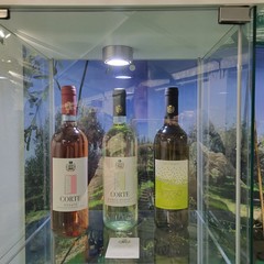 A San Ferdinando inaugurata la 65^ Fiera Nazionale del Carciofo