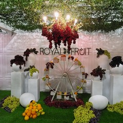 A San Ferdinando inaugurata la 65^ Fiera Nazionale del Carciofo