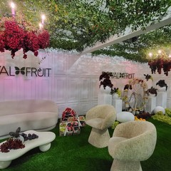 A San Ferdinando inaugurata la 65^ Fiera Nazionale del Carciofo