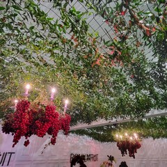 A San Ferdinando inaugurata la 65^ Fiera Nazionale del Carciofo