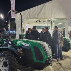 A San Ferdinando inaugurata la 65^ Fiera Nazionale del Carciofo
