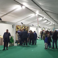 A San Ferdinando inaugurata la 65^ Fiera Nazionale del Carciofo