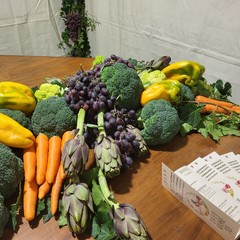 A San Ferdinando inaugurata la 65^ Fiera Nazionale del Carciofo