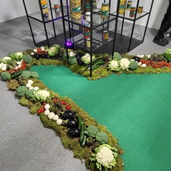 A San Ferdinando inaugurata la 65^ Fiera Nazionale del Carciofo