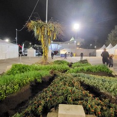 A San Ferdinando inaugurata la 65^ Fiera Nazionale del Carciofo