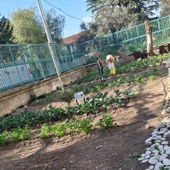 A San Ferdinando il ricordo di Gino Strada con l’inaugurazione dell’orto didattico e la piantumazione di un ulivo