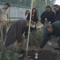 A San Ferdinando il ricordo di Gino Strada con l’inaugurazione dell’orto didattico e la piantumazione di un ulivo