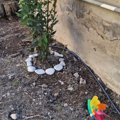 A San Ferdinando il ricordo di Gino Strada con l’inaugurazione dell’orto didattico e la piantumazione di un ulivo