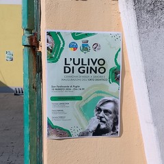 A San Ferdinando il ricordo di Gino Strada con l’inaugurazione dell’orto didattico e la piantumazione di un ulivo