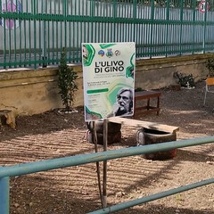 A San Ferdinando il ricordo di Gino Strada con l’inaugurazione dell’orto didattico e la piantumazione di un ulivo