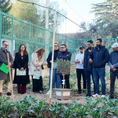 A San Ferdinando il ricordo di Gino Strada con l’inaugurazione dell’orto didattico e la piantumazione di un ulivo