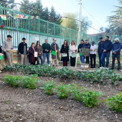 A San Ferdinando il ricordo di Gino Strada con l’inaugurazione dell’orto didattico e la piantumazione di un ulivo