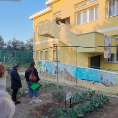 A San Ferdinando il ricordo di Gino Strada con l’inaugurazione dell’orto didattico e la piantumazione di un ulivo