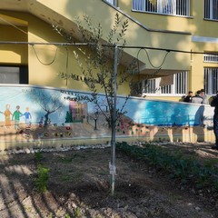 A San Ferdinando il ricordo di Gino Strada con l’inaugurazione dell’orto didattico e la piantumazione di un ulivo