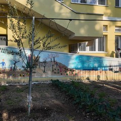 A San Ferdinando il ricordo di Gino Strada con l’inaugurazione dell’orto didattico e la piantumazione di un ulivo