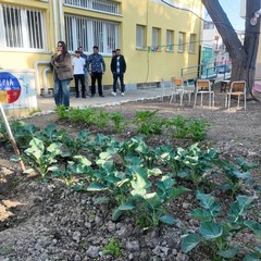 A San Ferdinando il ricordo di Gino Strada con l’inaugurazione dell’orto didattico e la piantumazione di un ulivo