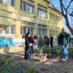 A San Ferdinando il ricordo di Gino Strada con l’inaugurazione dell’orto didattico e la piantumazione di un ulivo