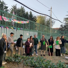 A San Ferdinando il ricordo di Gino Strada con l’inaugurazione dell’orto didattico e la piantumazione di un ulivo