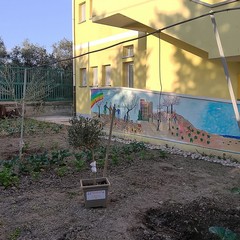 A San Ferdinando il ricordo di Gino Strada con l’inaugurazione dell’orto didattico e la piantumazione di un ulivo