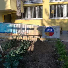 A San Ferdinando il ricordo di Gino Strada con l’inaugurazione dell’orto didattico e la piantumazione di un ulivo