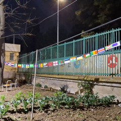 A San Ferdinando il ricordo di Gino Strada con l’inaugurazione dell’orto didattico e la piantumazione di un ulivo