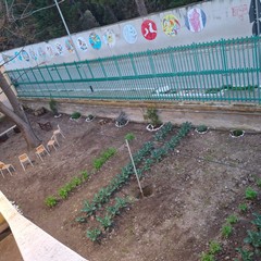 A San Ferdinando il ricordo di Gino Strada con l’inaugurazione dell’orto didattico e la piantumazione di un ulivo