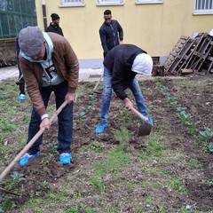 A San Ferdinando il ricordo di Gino Strada con l’inaugurazione dell’orto didattico e la piantumazione di un ulivo