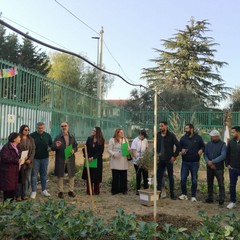 A San Ferdinando il ricordo di Gino Strada con l’inaugurazione dell’orto didattico e la piantumazione di un ulivo