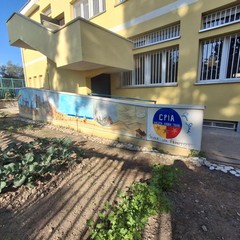 A San Ferdinando il ricordo di Gino Strada con l’inaugurazione dell’orto didattico e la piantumazione di un ulivo