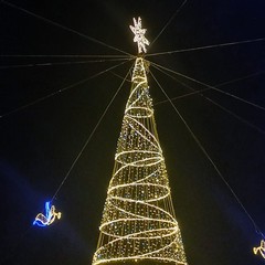 A San Ferdinando la cerimonia di accensione dell’albero e delle luminarie natalizie