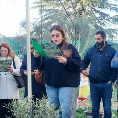 A San Ferdinando il ricordo di Gino Strada con l’inaugurazione dell’orto didattico e la piantumazione di un ulivo
