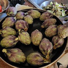 Arrivano i carciofini sulle tavole dei sanferdinandesi - FOTO
