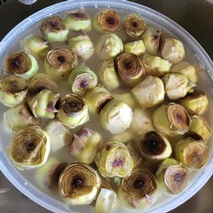 Arrivano i carciofini sulle tavole dei sanferdinandesi - FOTO