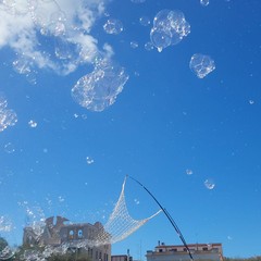 Carnevale Ofantino alla Sanferdinandese