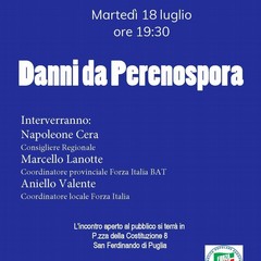 Conferenza SanFerdinando