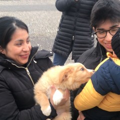 A San Ferdinando i cuccioli della bagnarola trovano casa