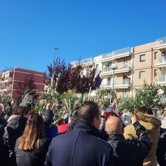 Domenica delle Palme: a San Ferdinando si dà inizio ai riti della Passione