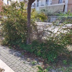 A San Ferdinando giochi per bambini danneggiati o distrutti