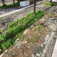 A San Ferdinando giochi per bambini danneggiati o distrutti