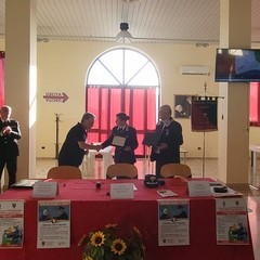 Truffe agli anziani: manipolazione emotiva dei valori che portano con sé