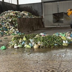 Giornata Mondiale del Riciclo: differenziare correttamente per l'ambiente e per il portafoglio