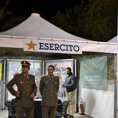 fiera nazionale del carciofo San Ferdinando di Puglia JPG