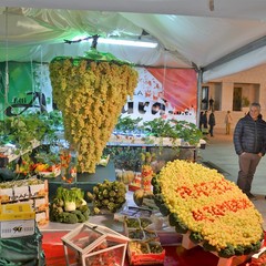 fiera nazionale del carciofo San Ferdinando di Puglia JPG