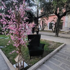 Peschè a San Ferdinando di Puglia