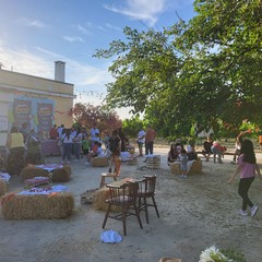 L'associazione Milele organizza il 'Picnic delle Meraviglie'