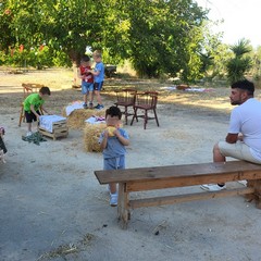 L'associazione Milele organizza il 'Picnic delle Meraviglie'